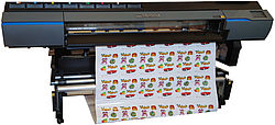 Promozione Plotter Roland VG3-540 e VG3-640 | Stampa e Taglio professionale